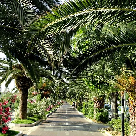 Affittacamere Soleluna Via Silvio Pellico 6 4*