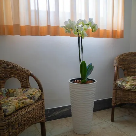 Soleluna Via Silvio Pellico 6 4*