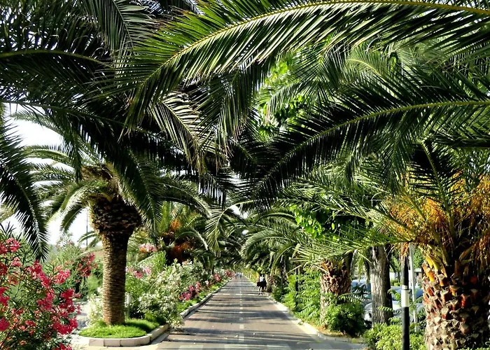 Guest house Soleluna 4*